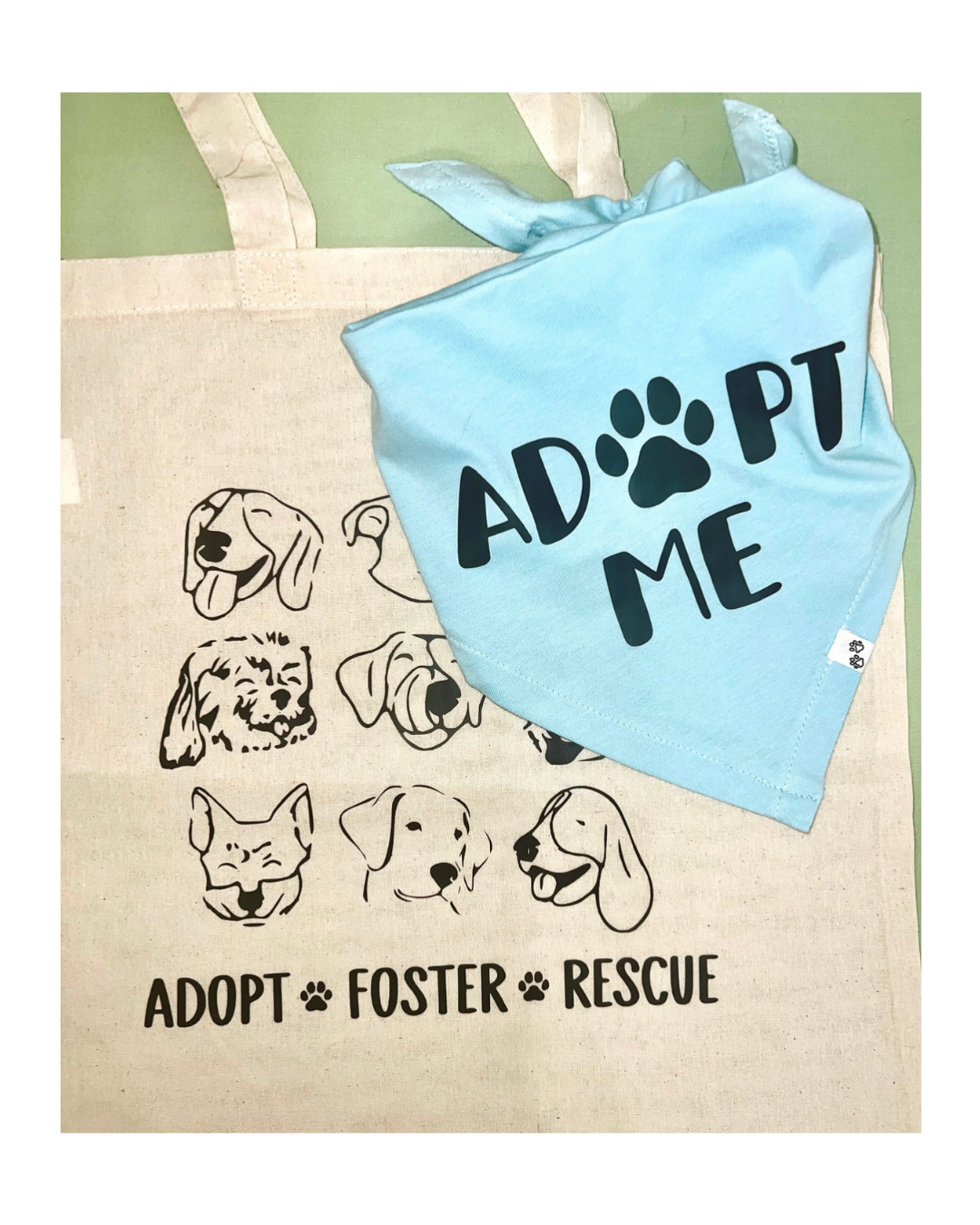 Foster & Adopt