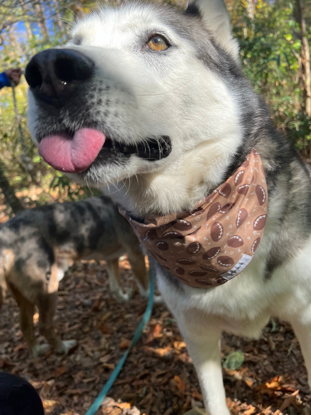 Boho Football Bandana