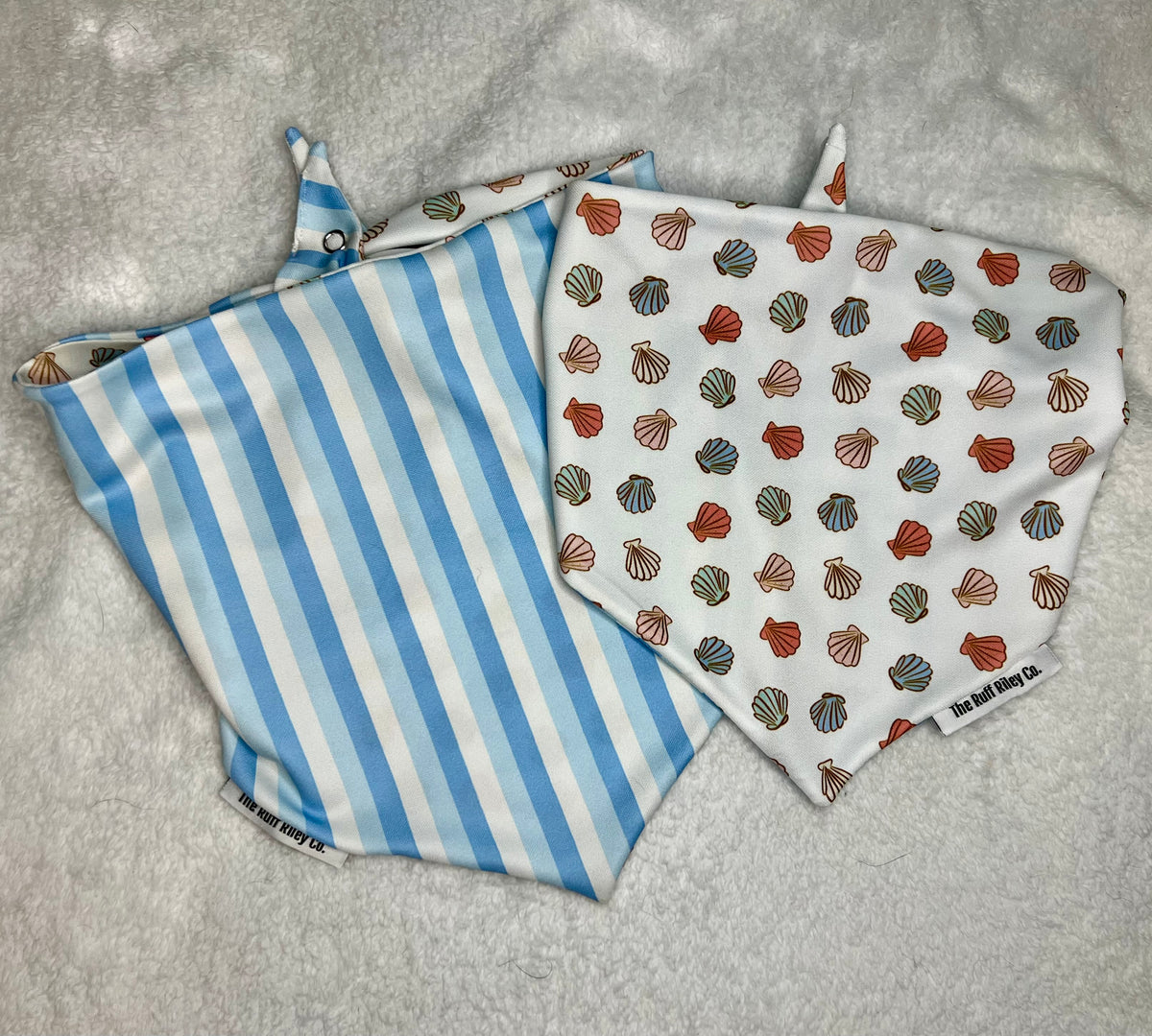 Seashell & Stripes