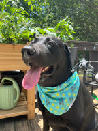 Suns Out Tongues Out