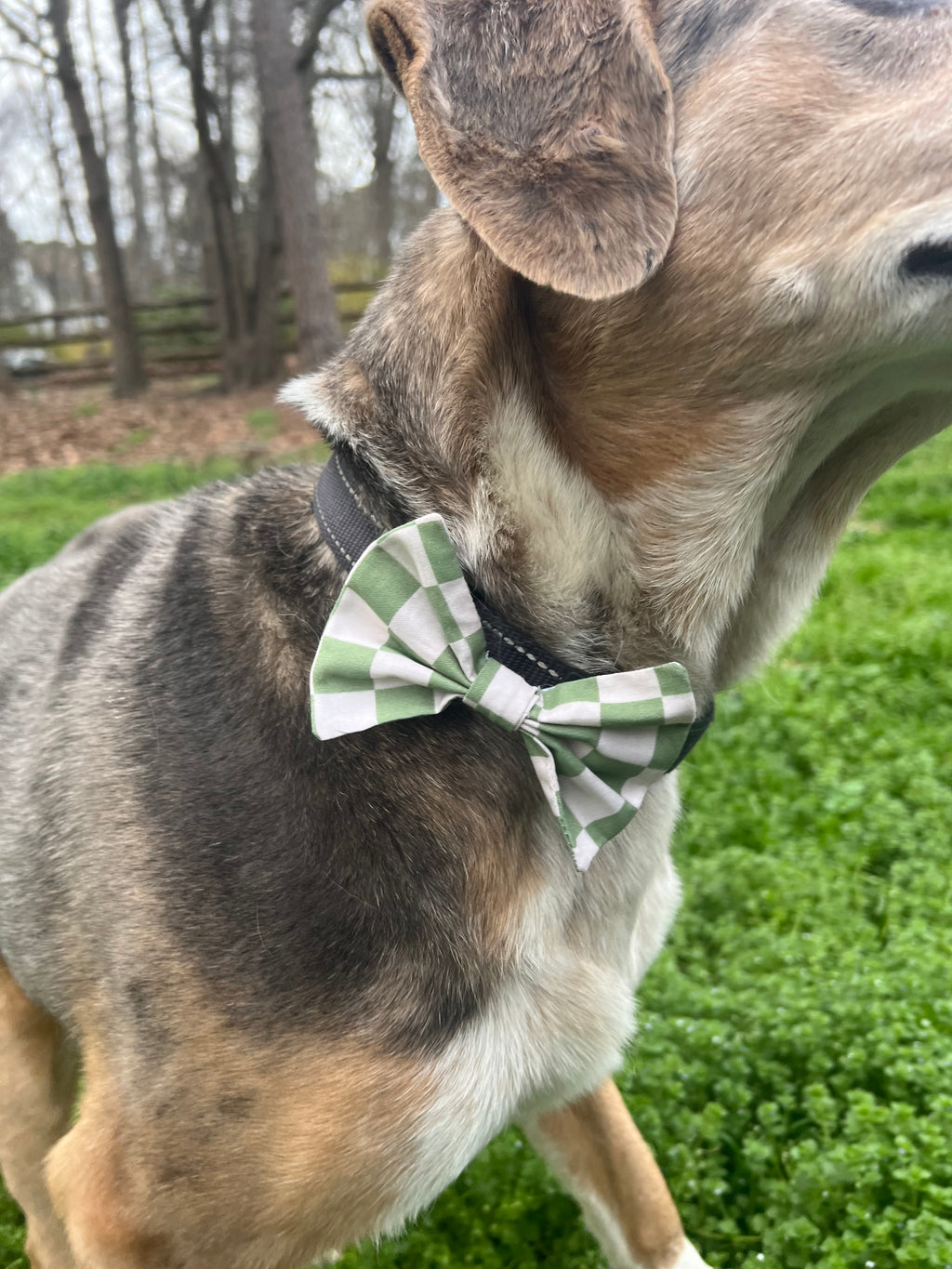 Green Checkered Bandana & Bow tie