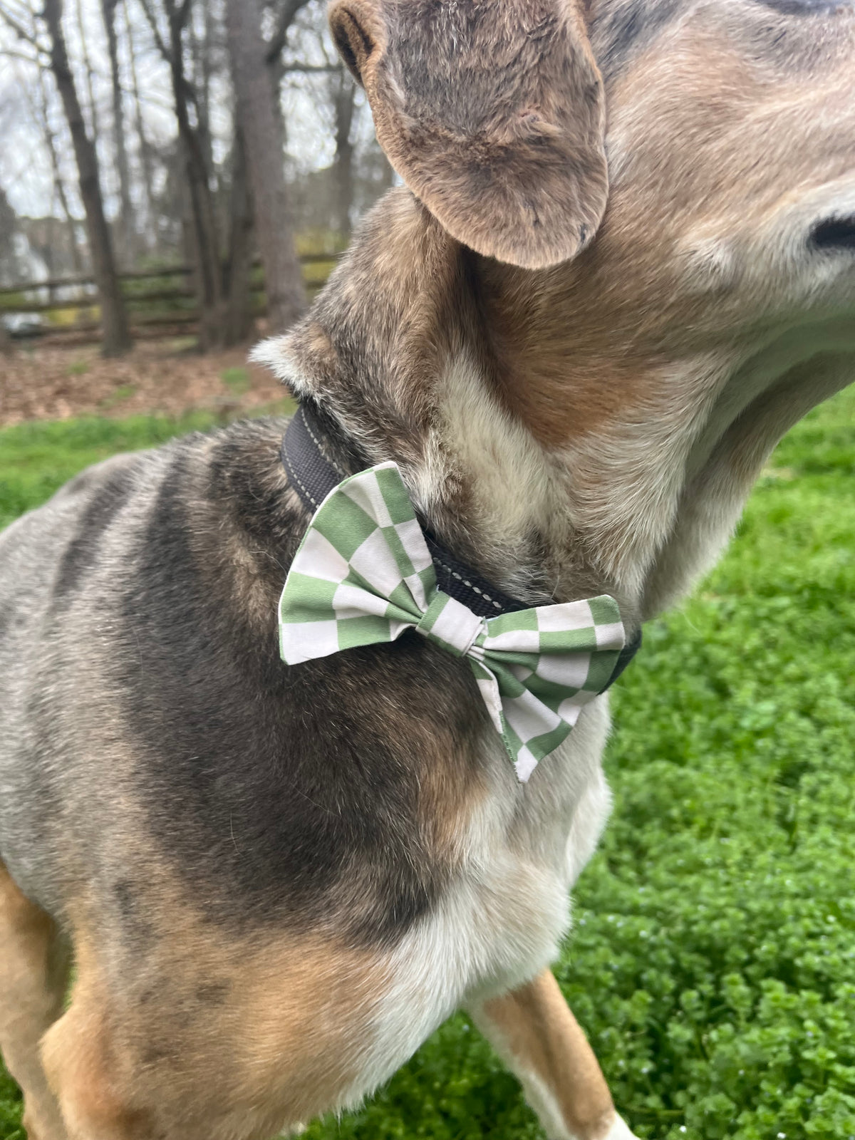 Green Checkered Bandana & Bow tie