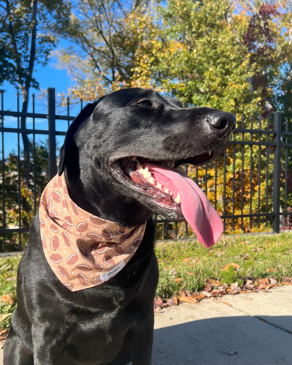 Boho Football Bandana