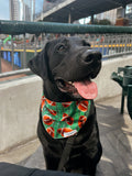 Touchdown Bandana
