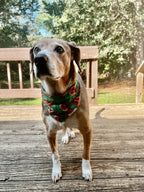 Touchdown Bandana