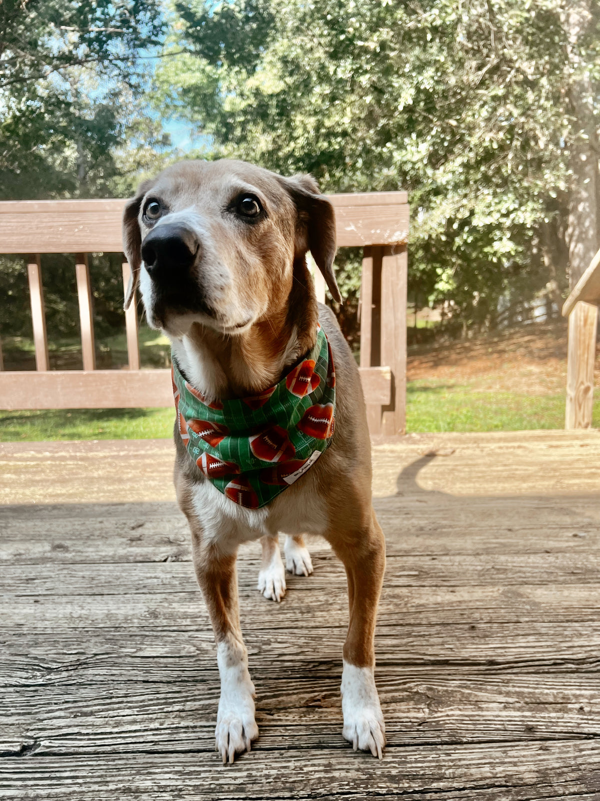 Touchdown Bandana