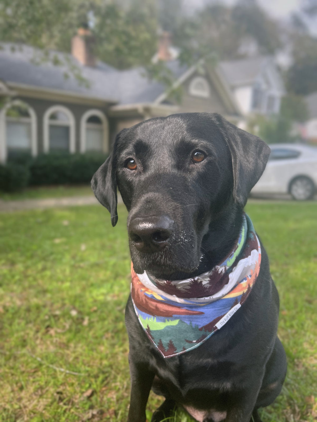 NC Mountain Bandana