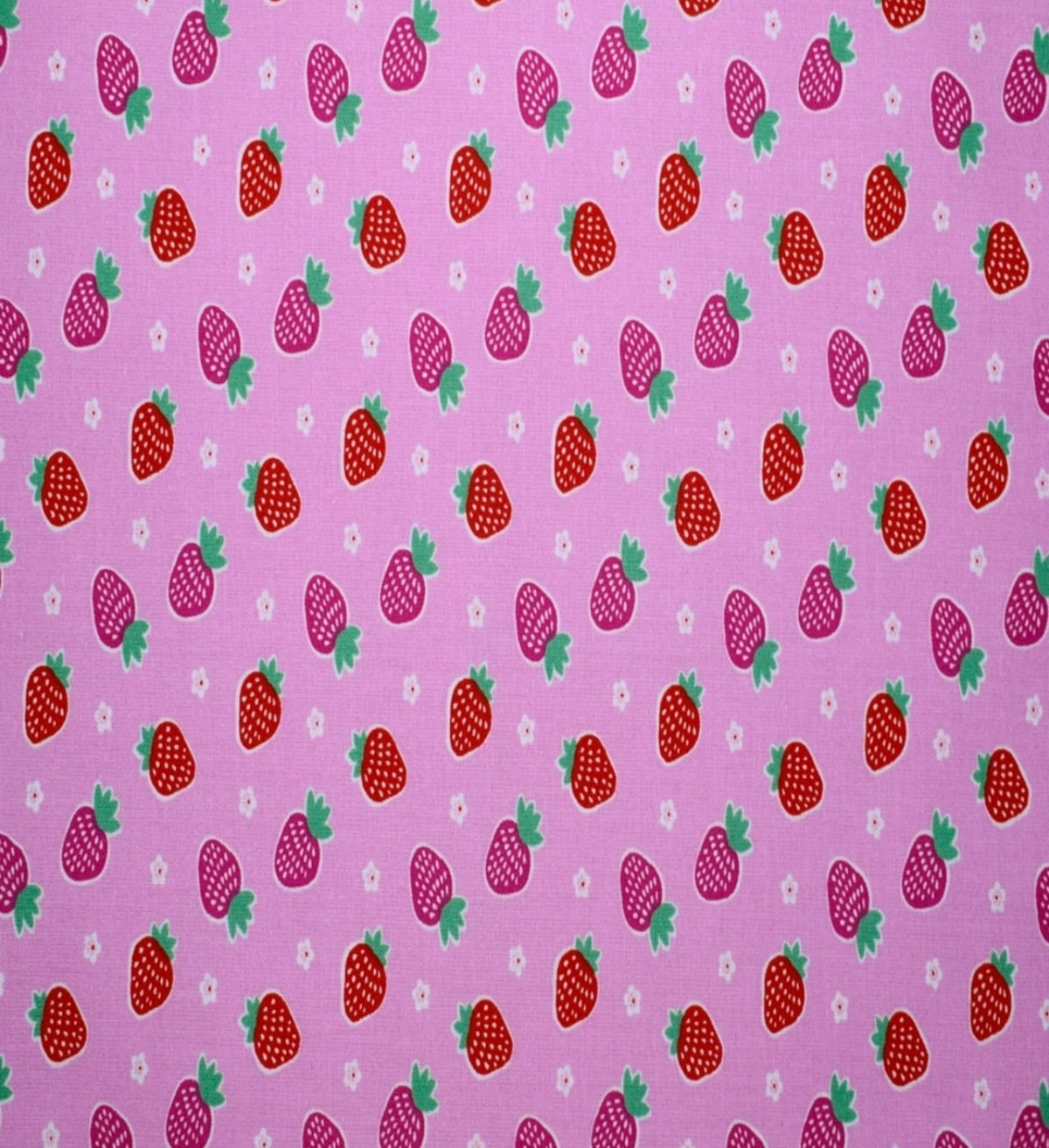 Strawberry Shortcake Bandana