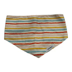 Summer Stripes Bandana
