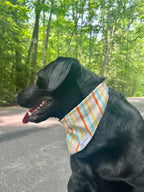 Summer Stripes Bandana